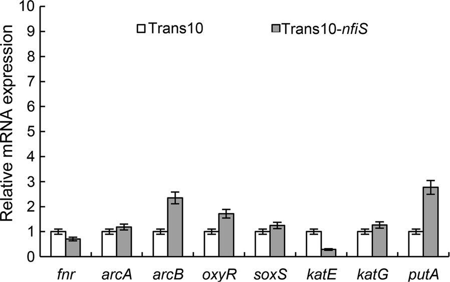 Fig. 4