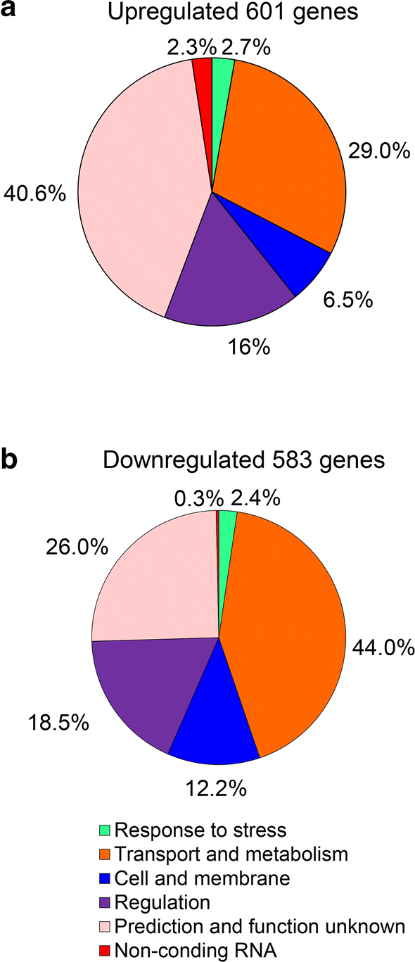 Fig. 5