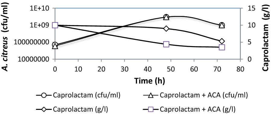 Fig. 6