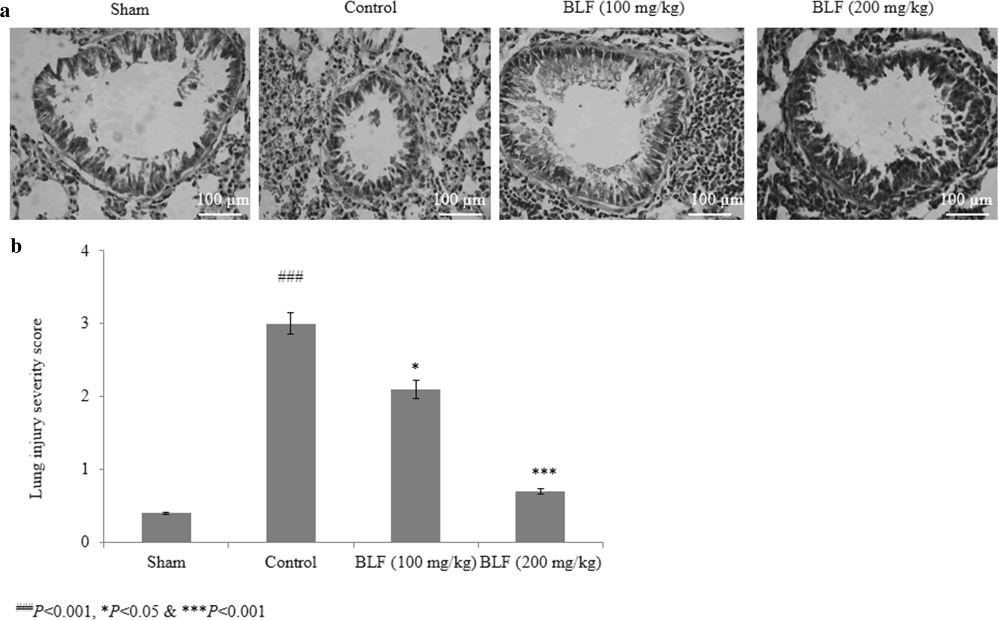 Fig. 8