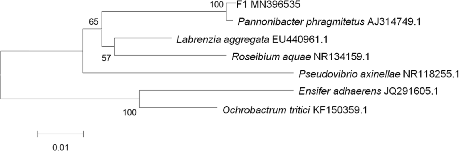 Fig. 2