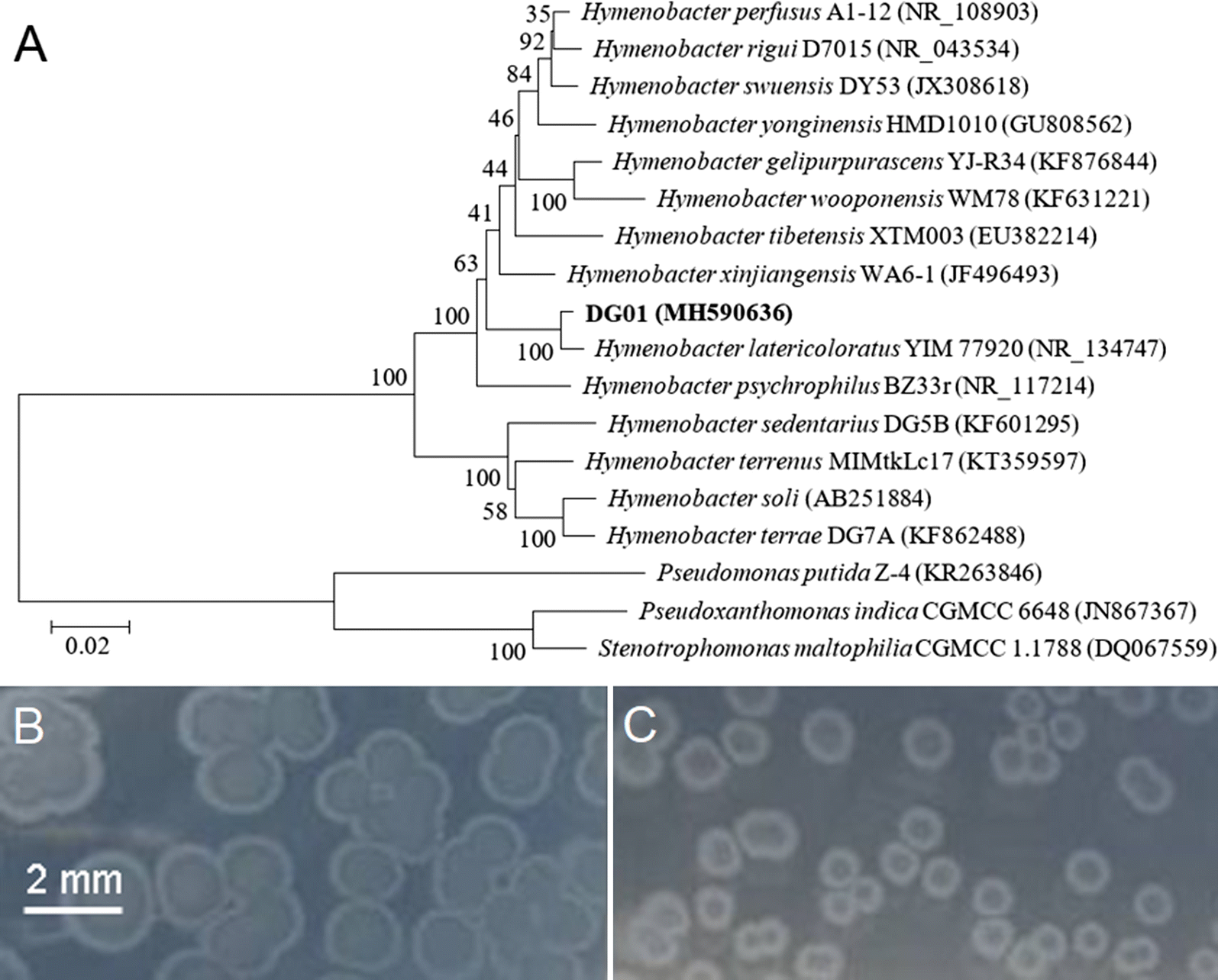 Fig. 2