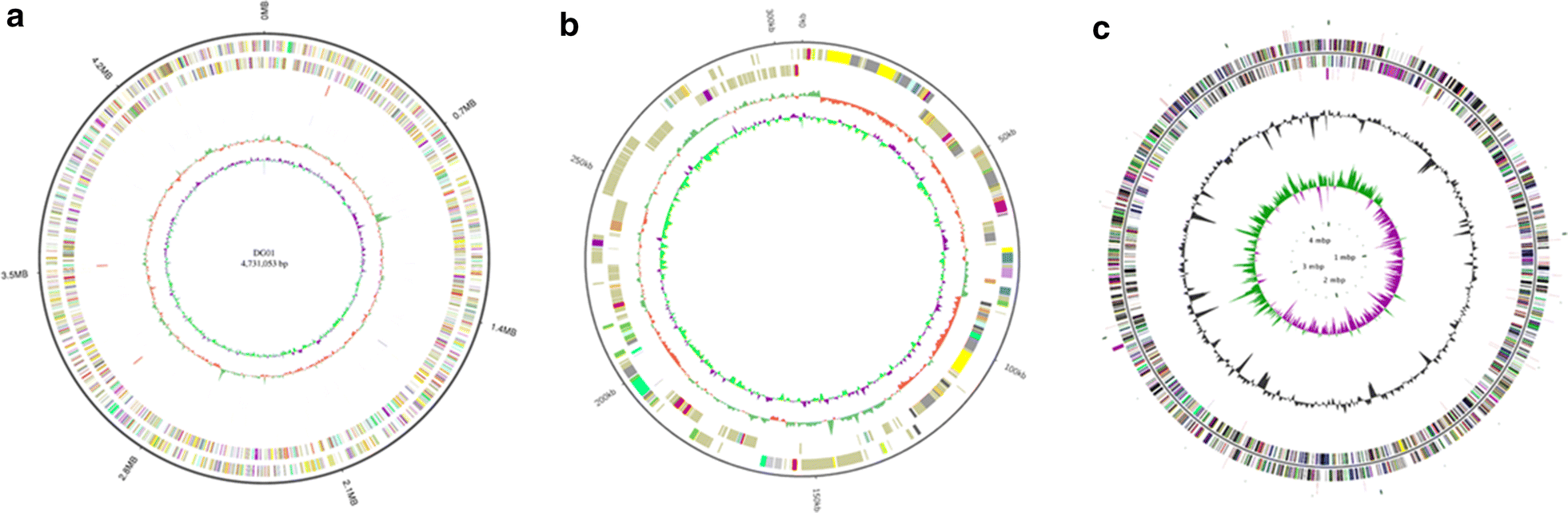 Fig. 6