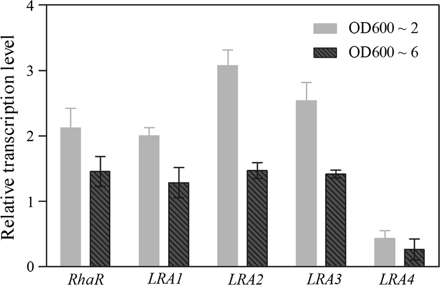 Fig. 3