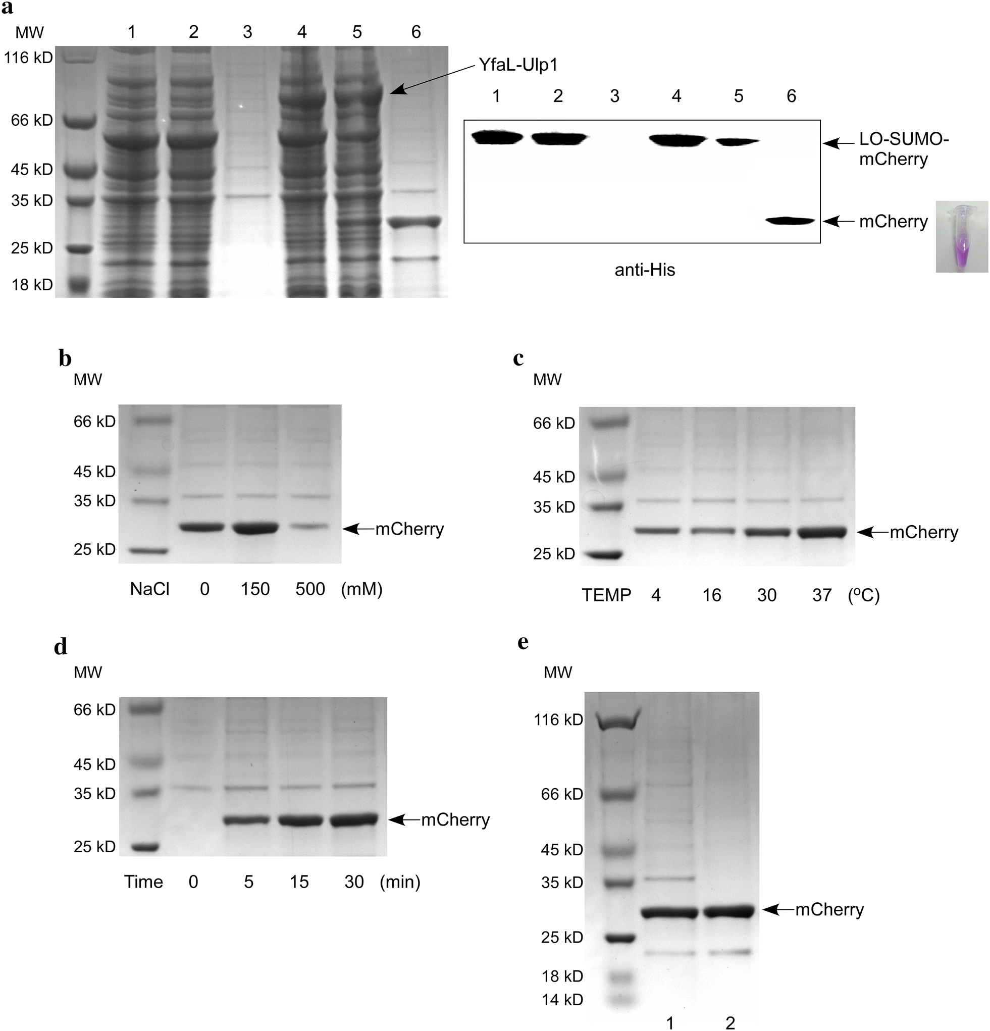 Fig. 4