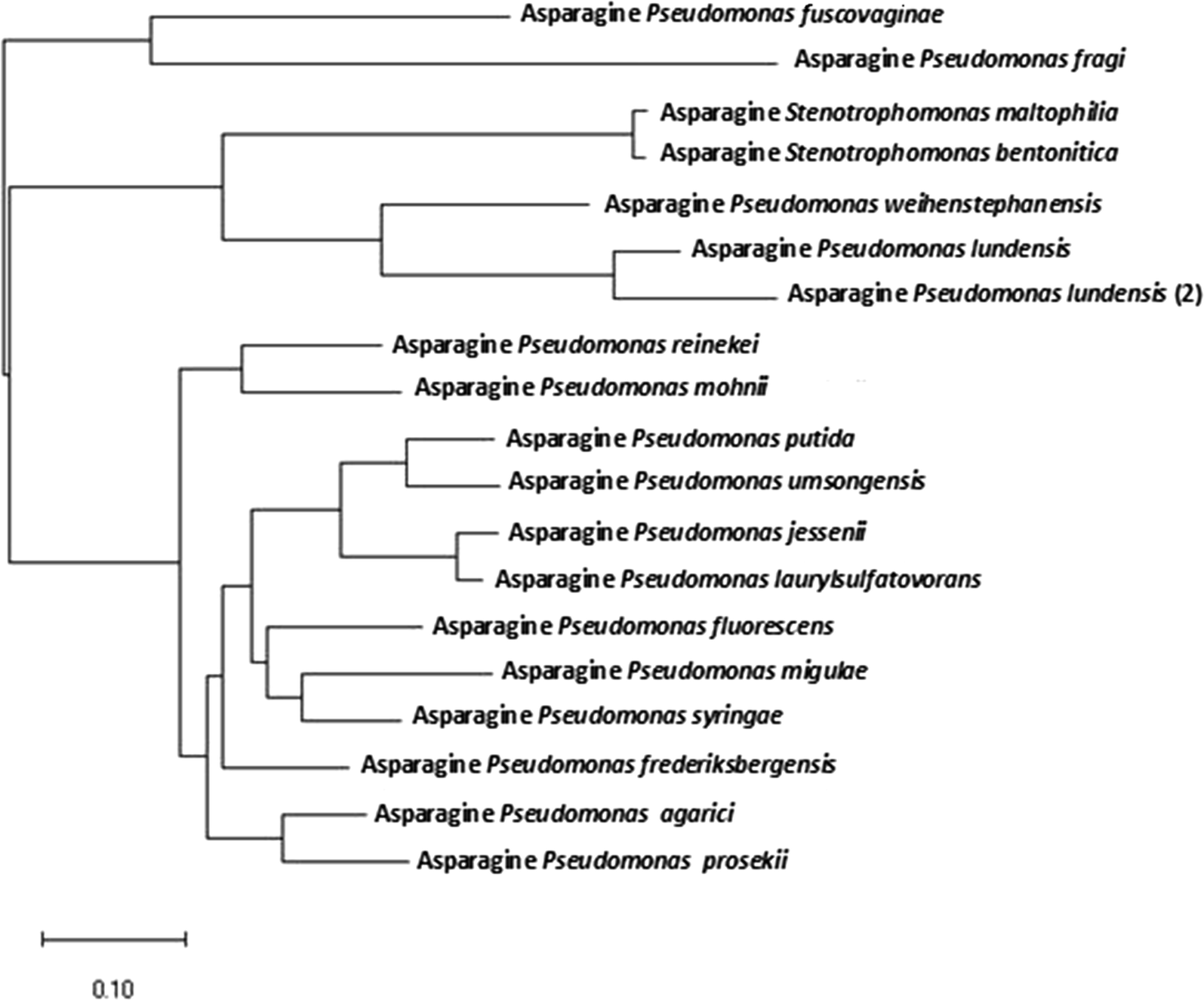 Fig. 1