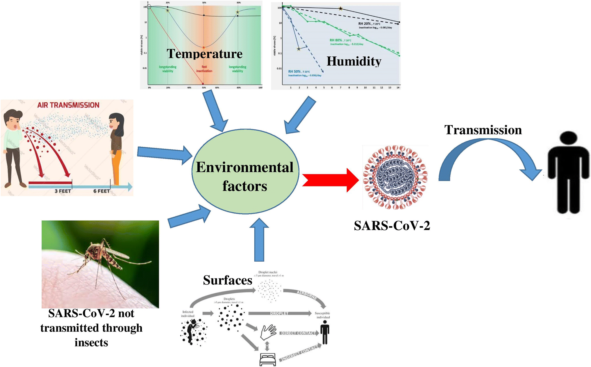 Пути передачи sars cov 2 тест ответы. Путь передачи sars-cov. Этиология коронавируса. Род коронавируса sars-cov-2. Sars-cov-2.