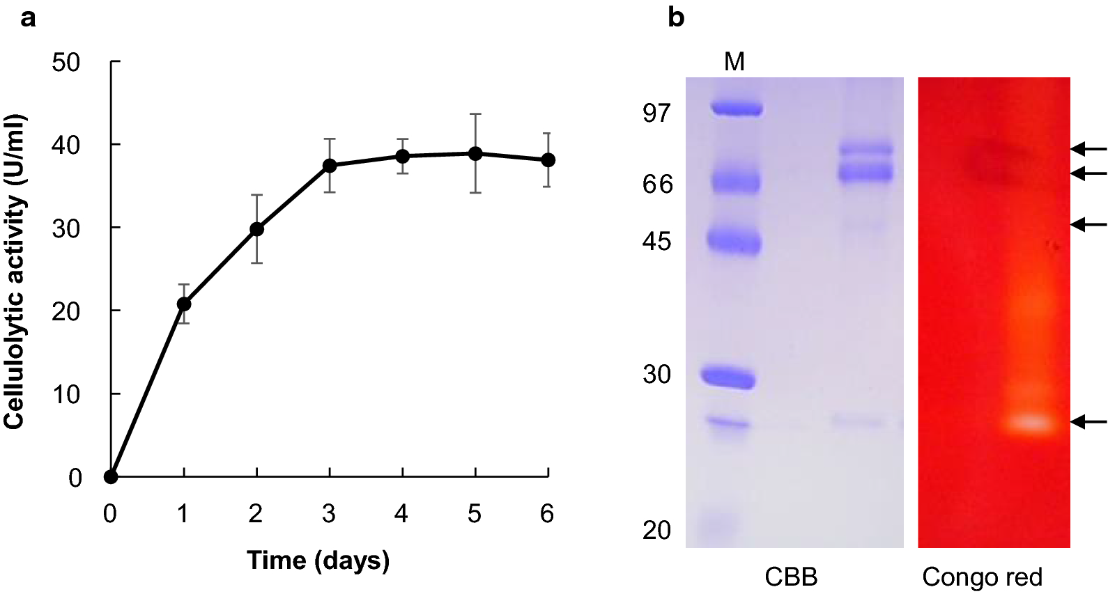 Fig. 3