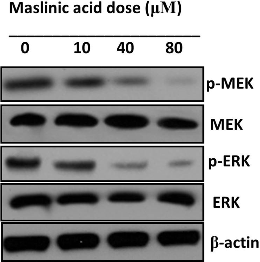 Fig. 10