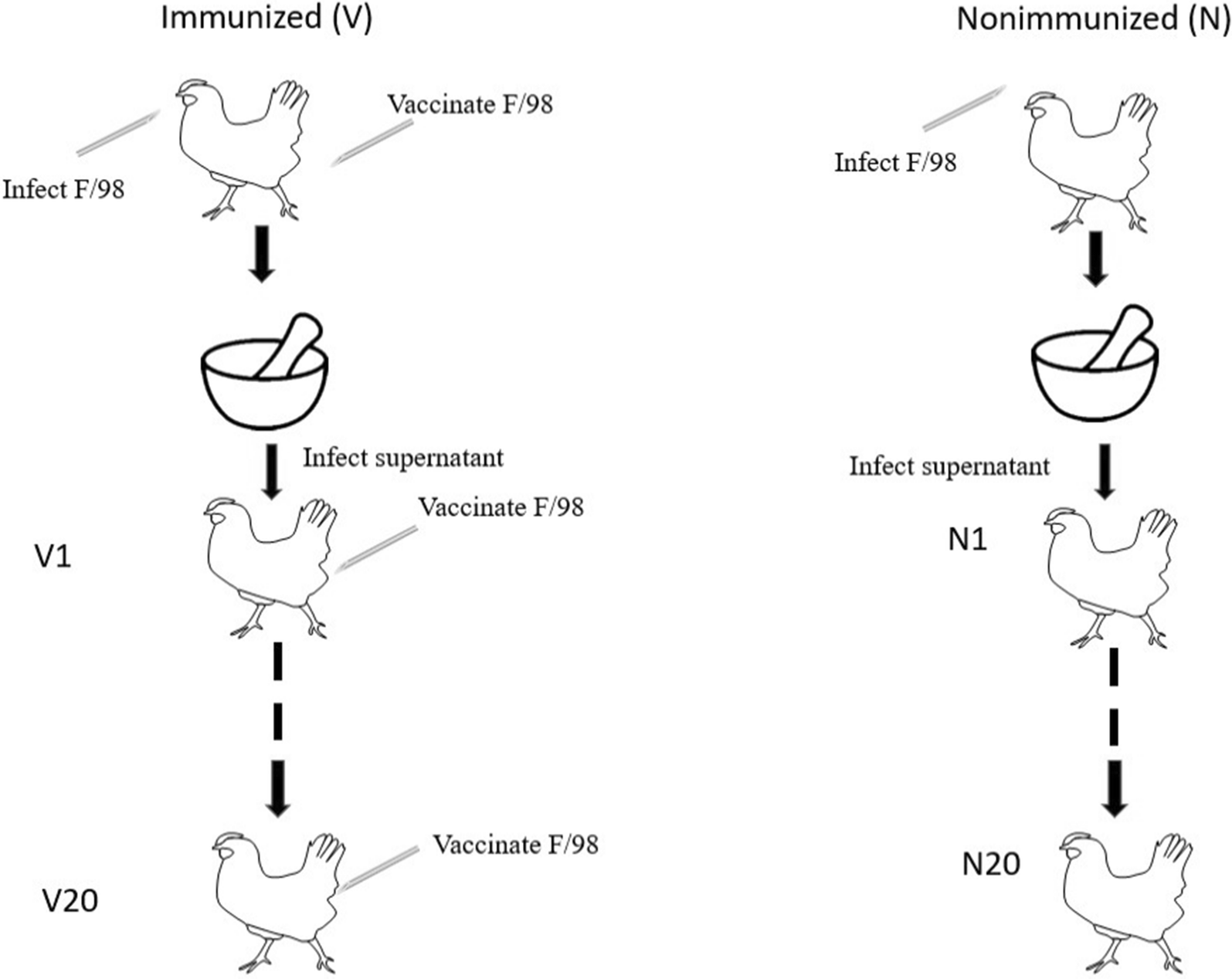 Fig. 1