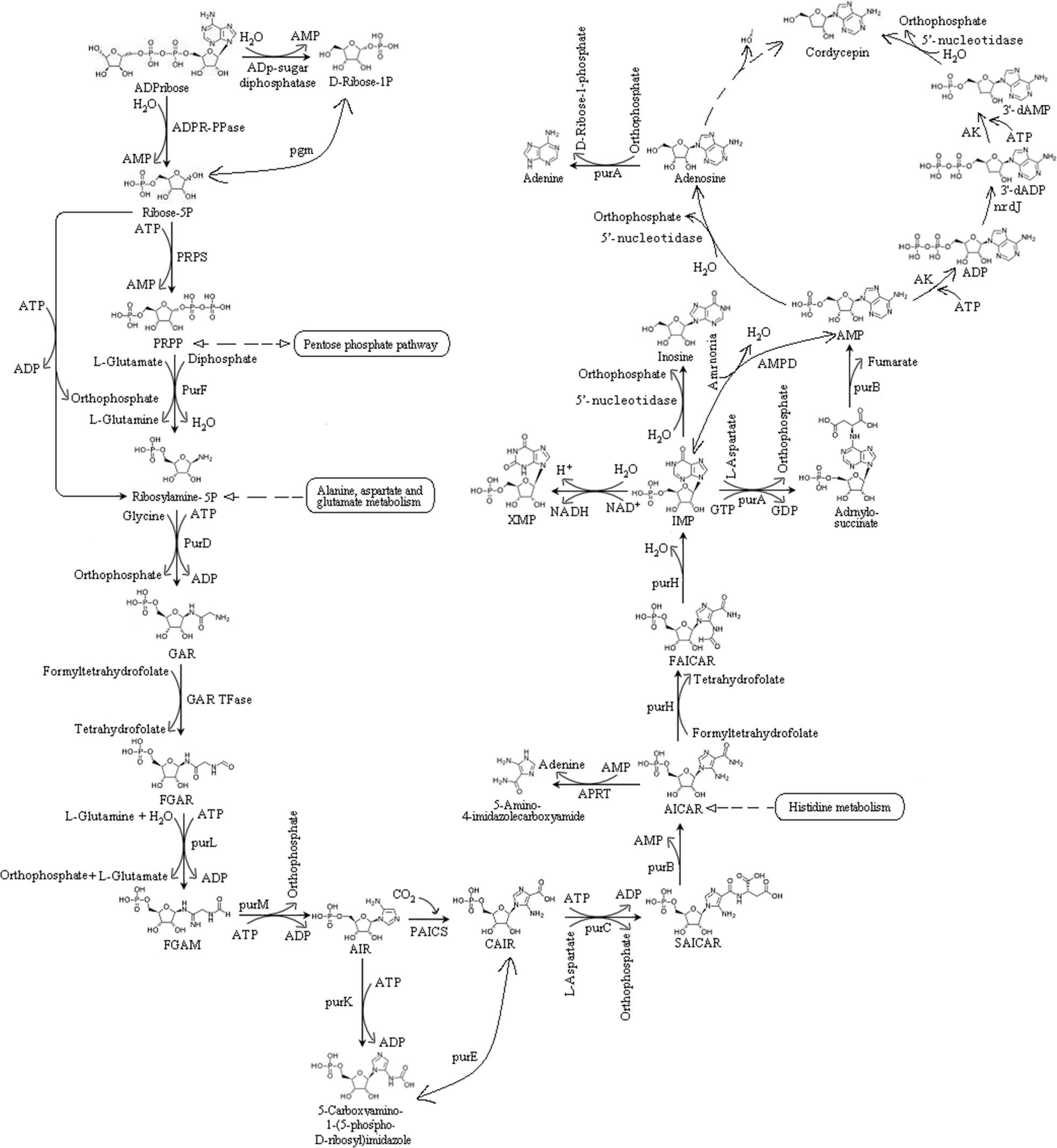 Fig. 9