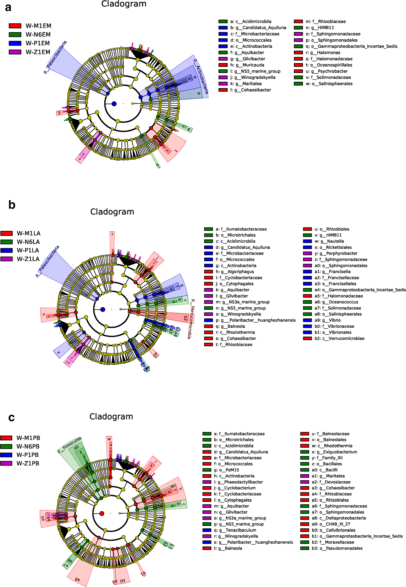 Fig. 6