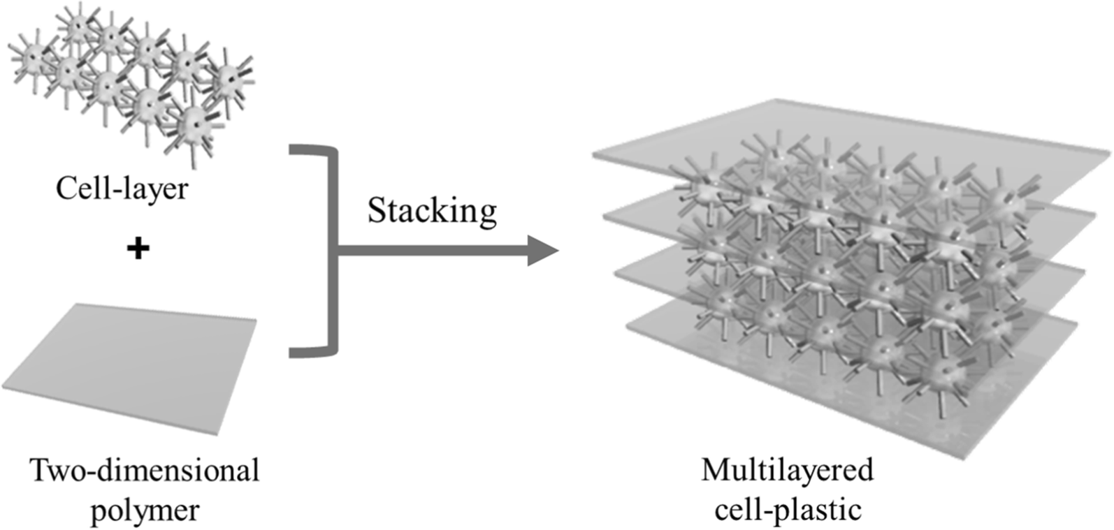 Fig. 1