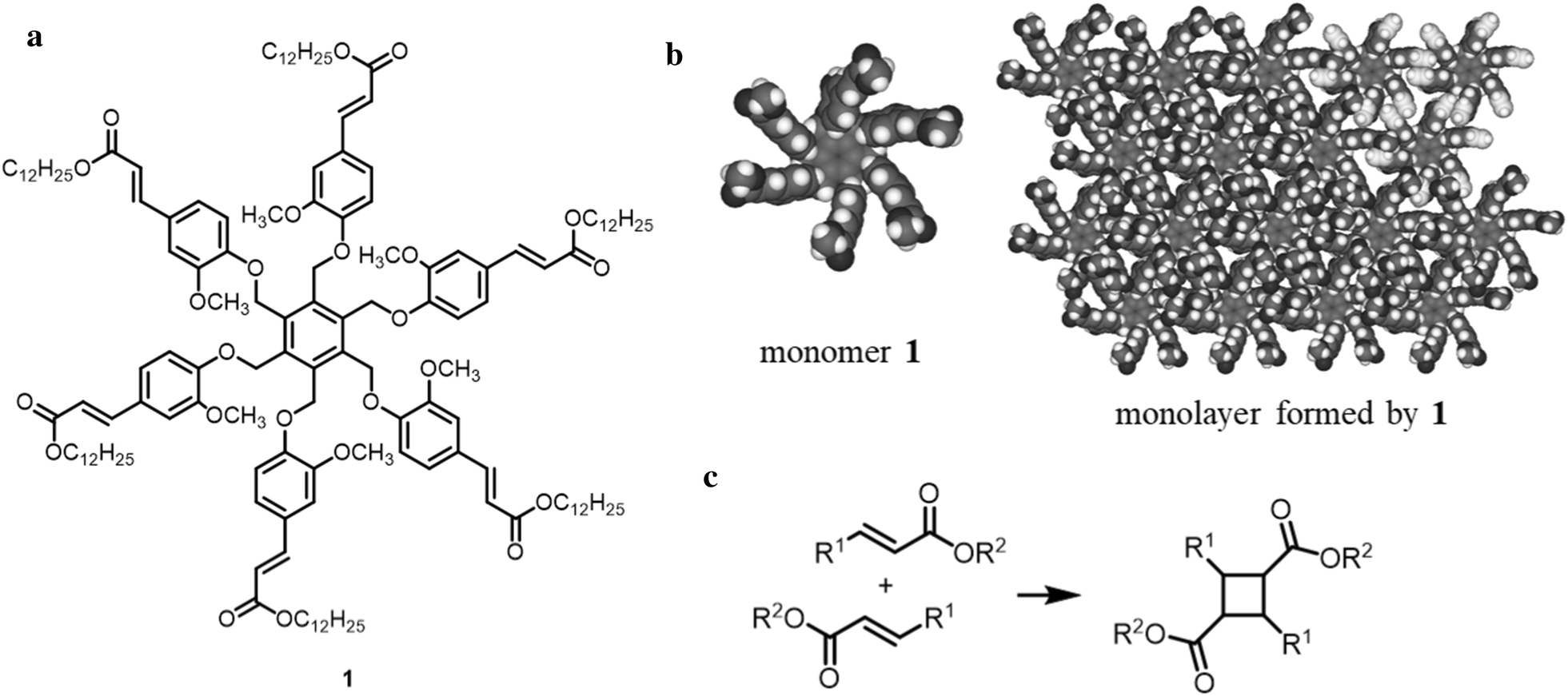 Fig. 2