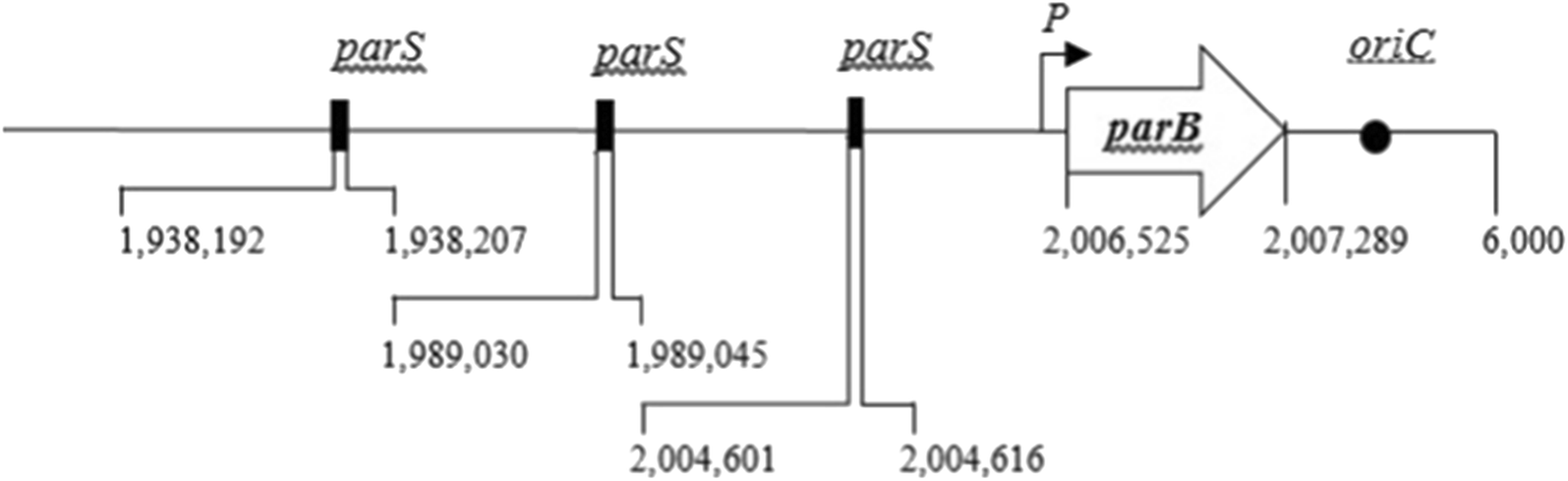 Fig. 1