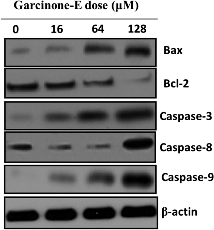 Fig. 6