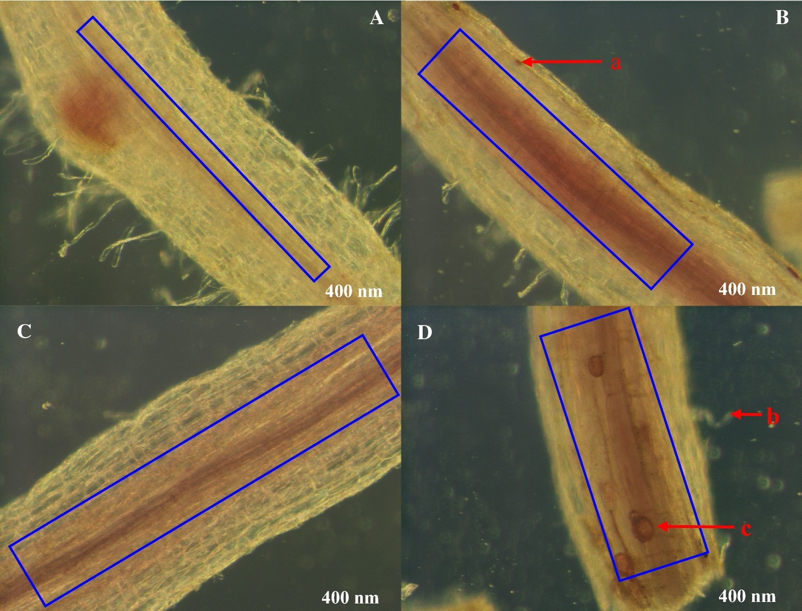 Fig. 2