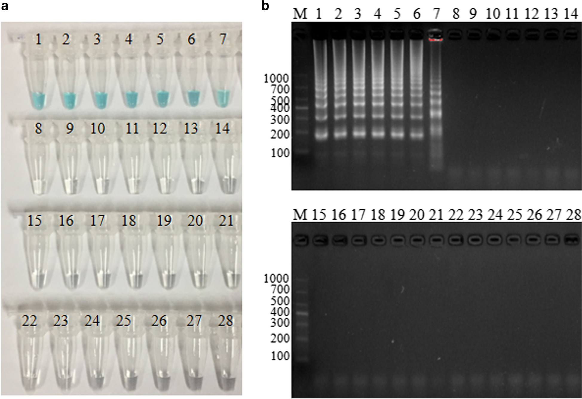 Fig. 6