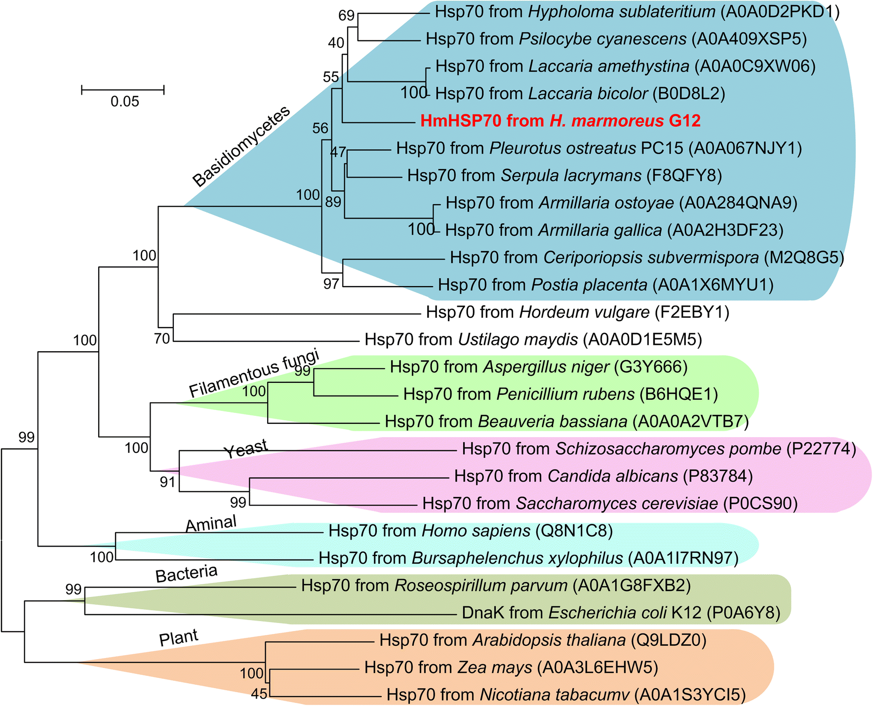 Fig. 2