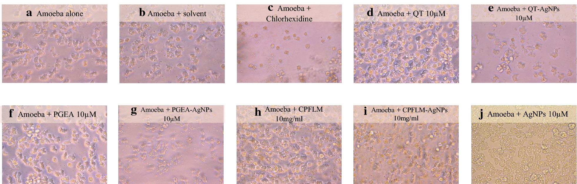 Fig. 4