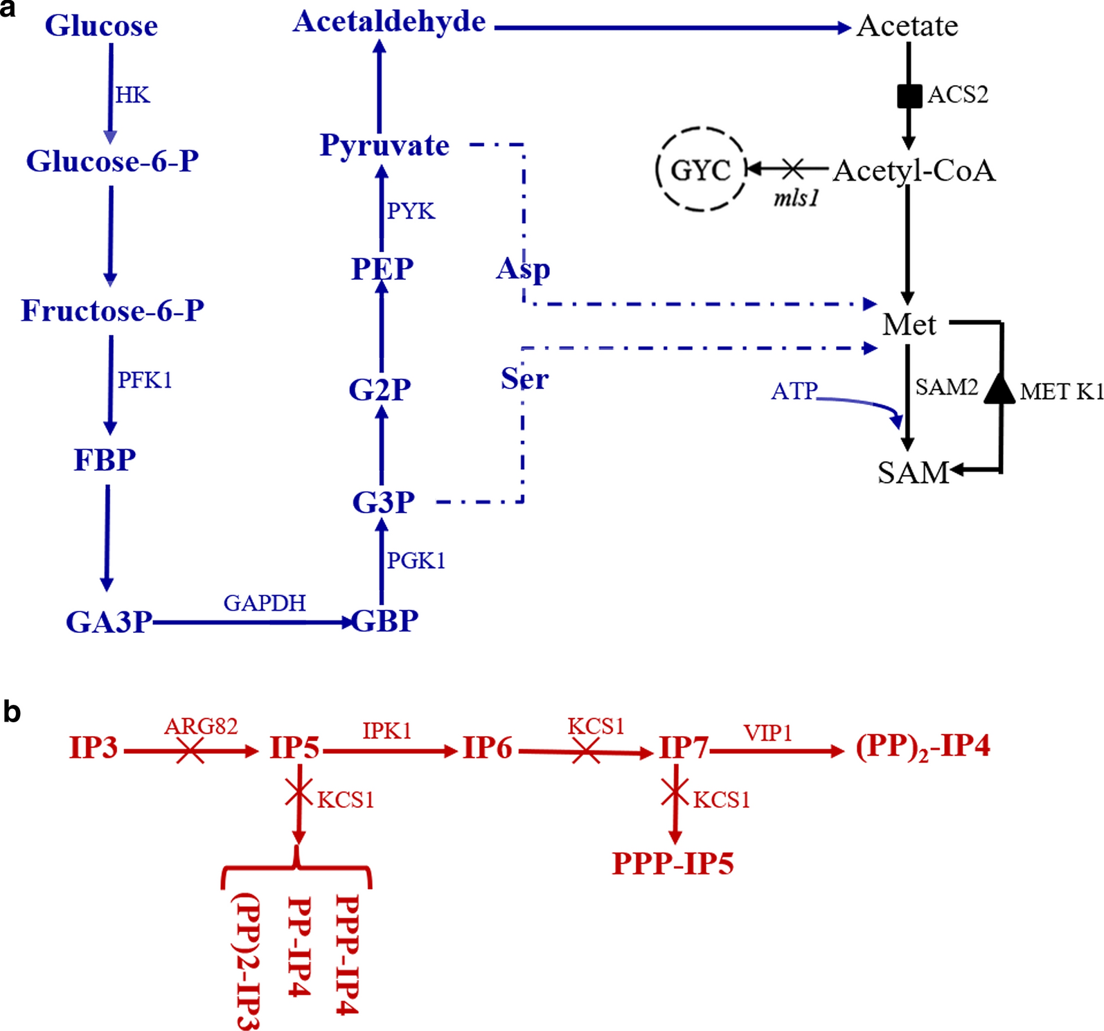 Fig. 1