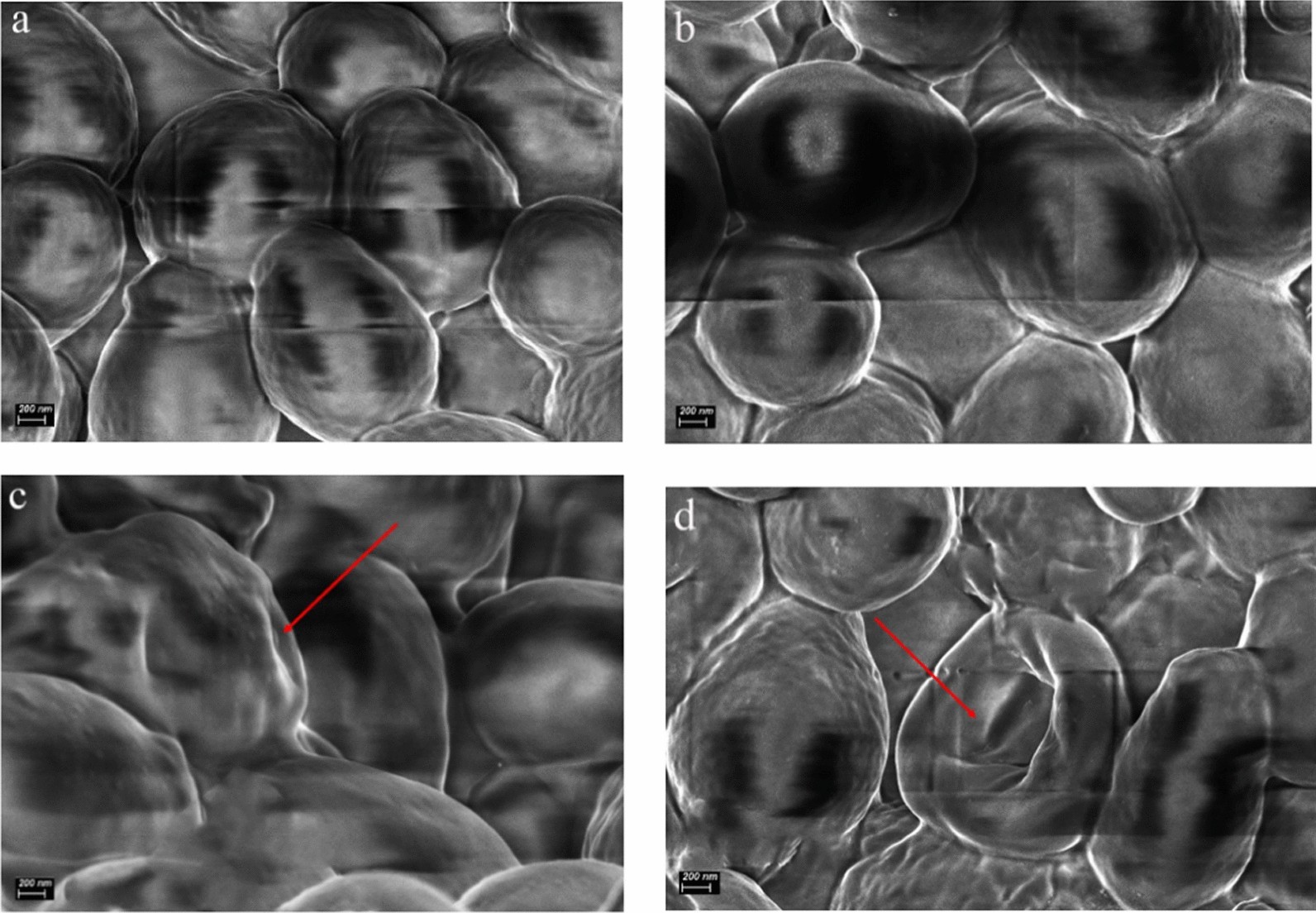 Fig.13