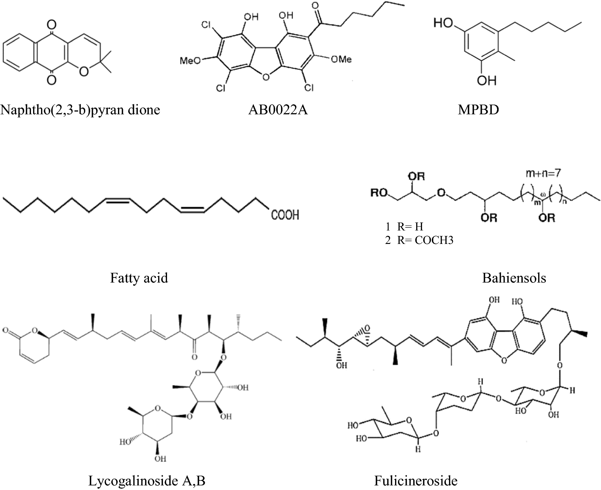 Fig. 12