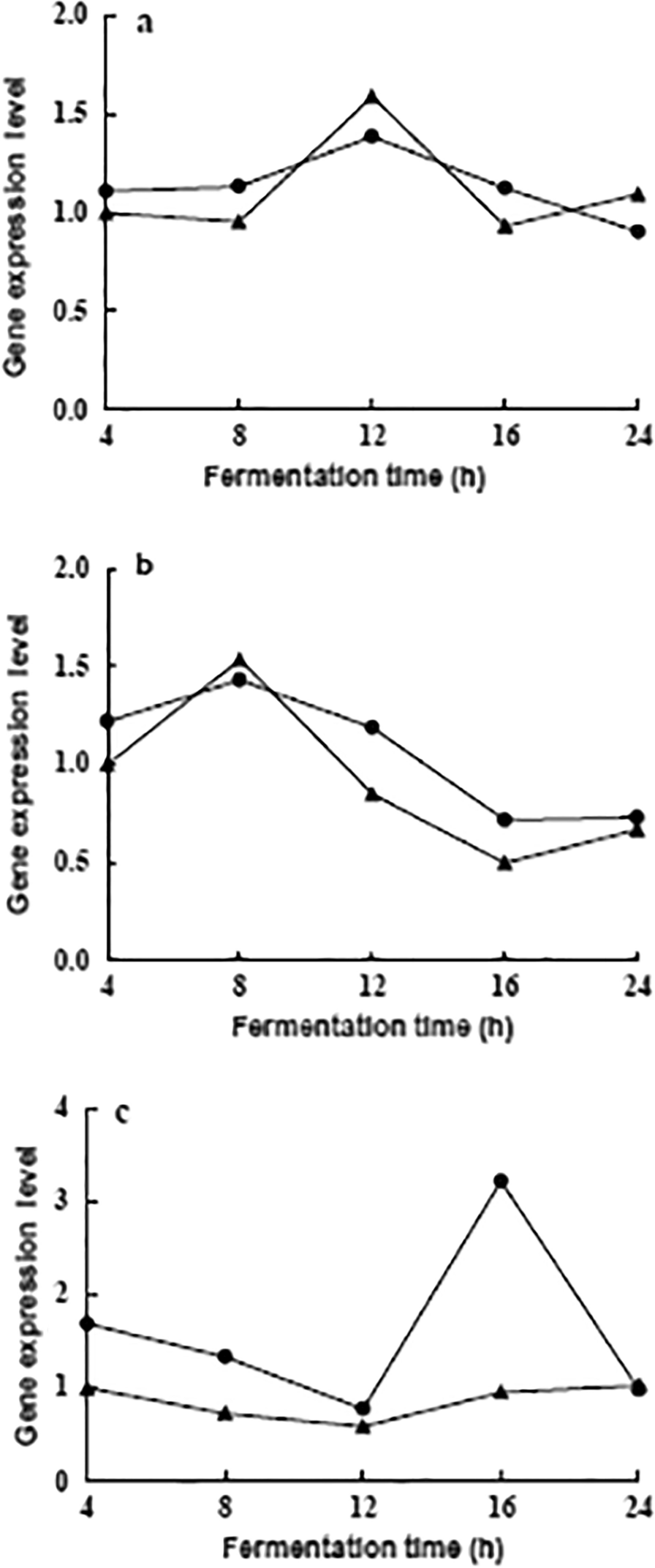 Fig 7