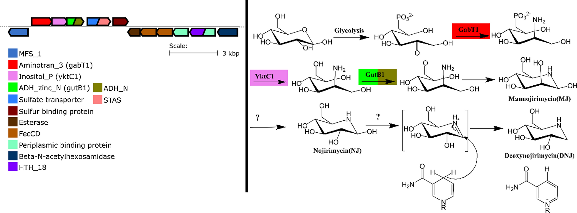 Fig. 2