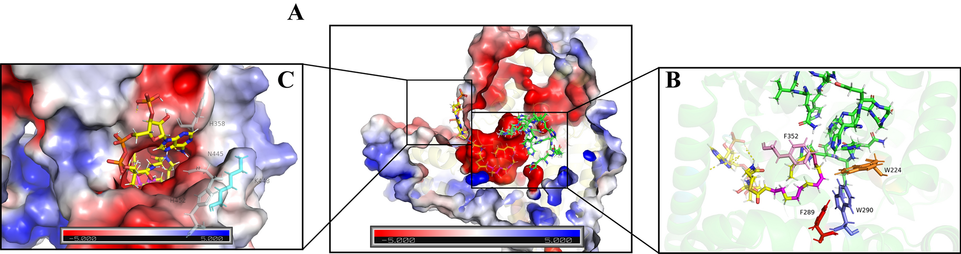 Fig. 2