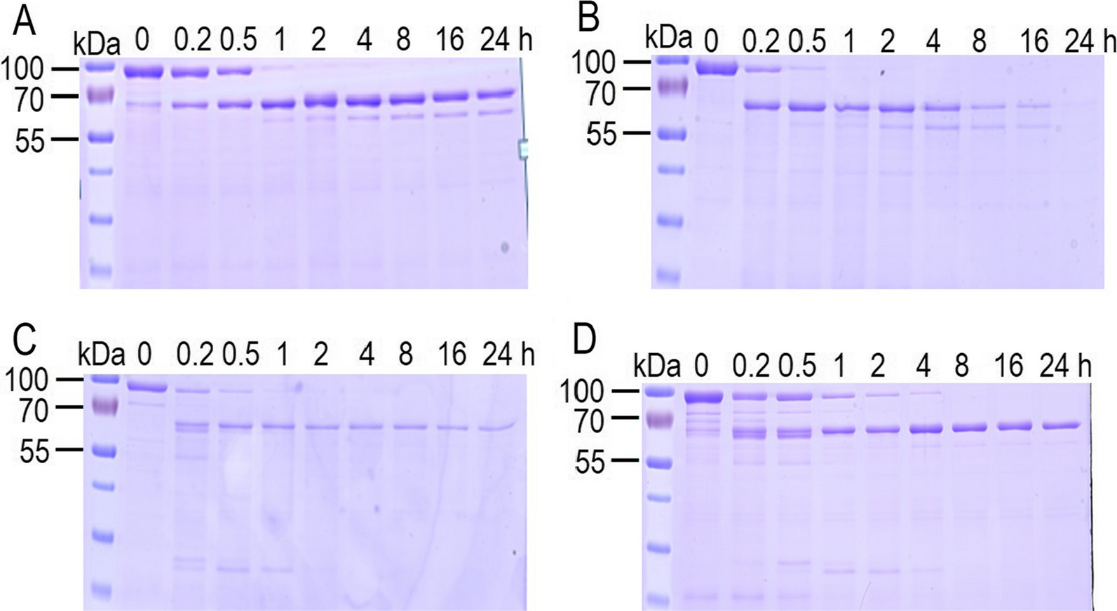 Fig. 4