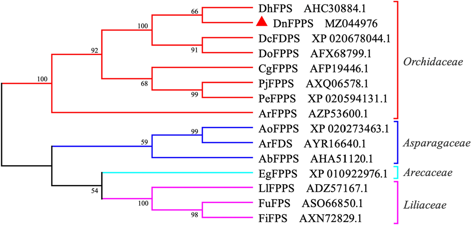 Fig. 4