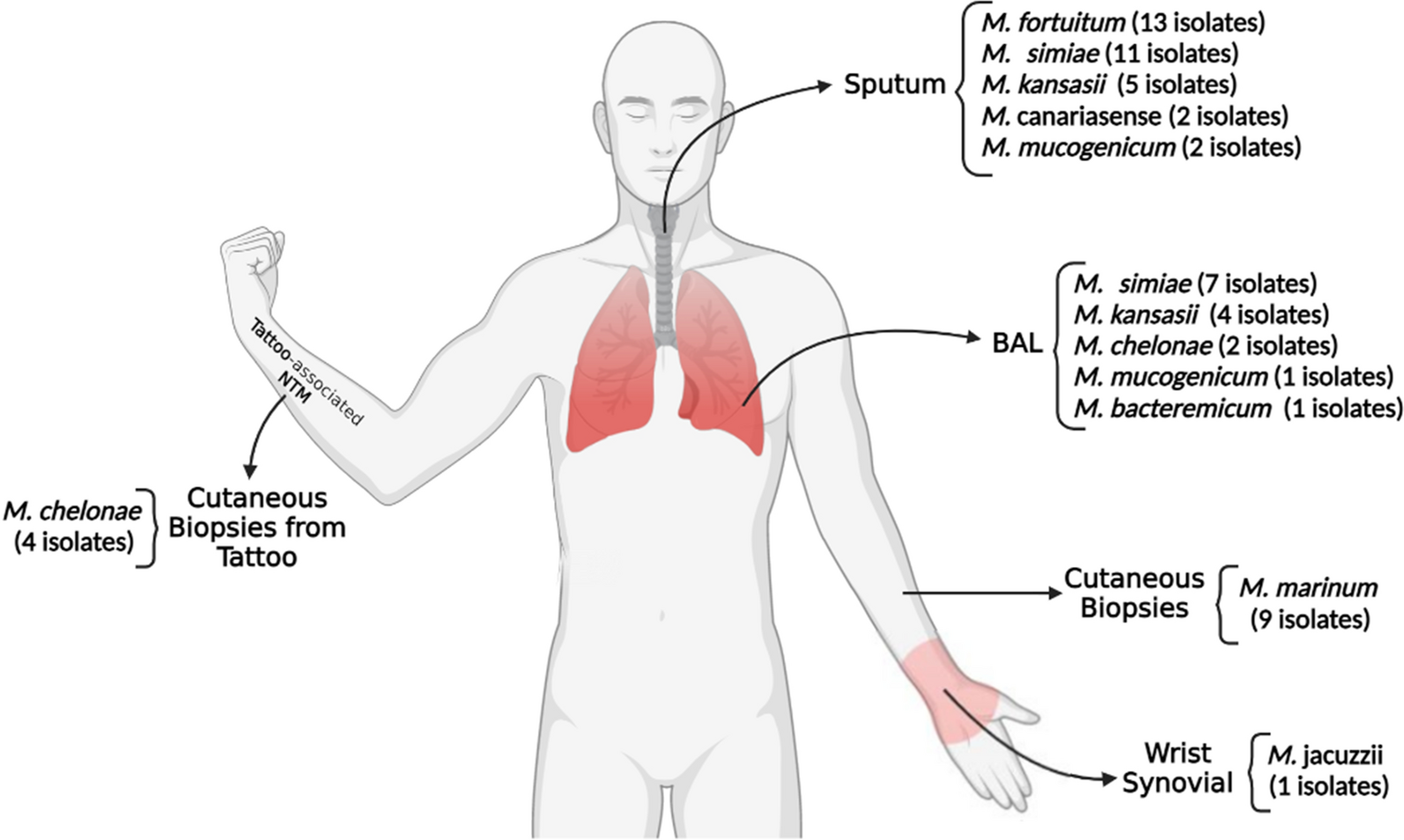 Fig. 2