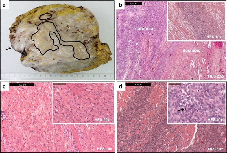 Fig. 3