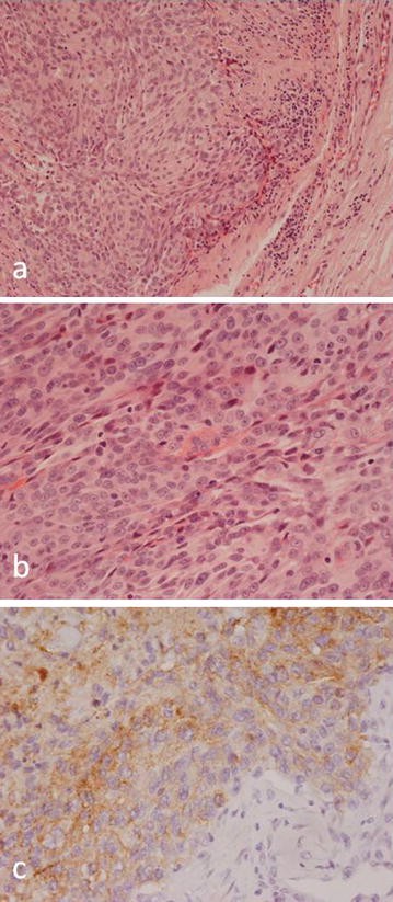 Fig. 7