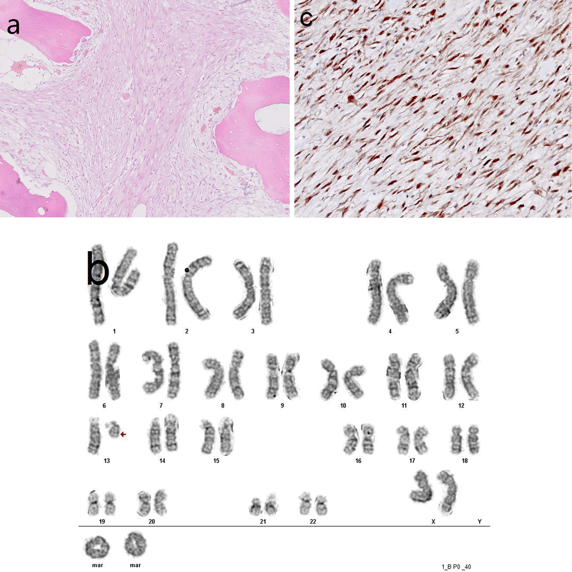 Fig. 4