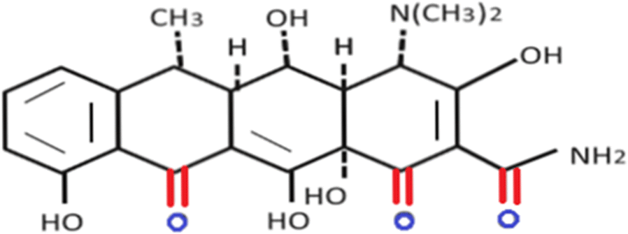 Fig. 1