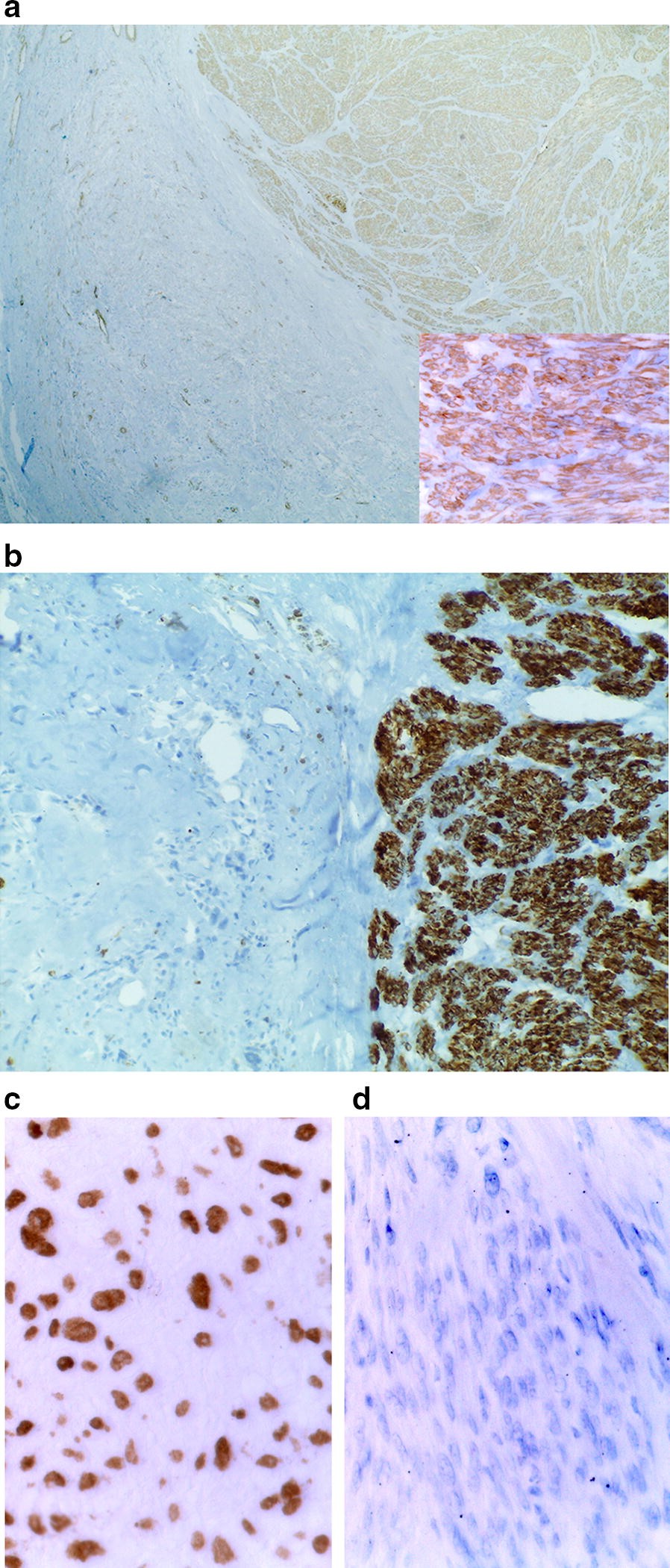 Fig. 7