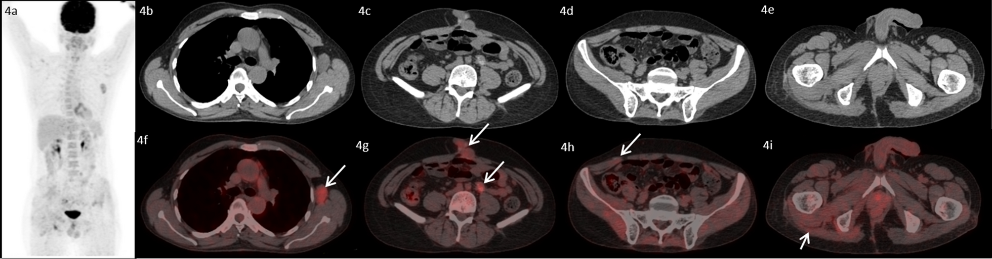 Fig. 5.