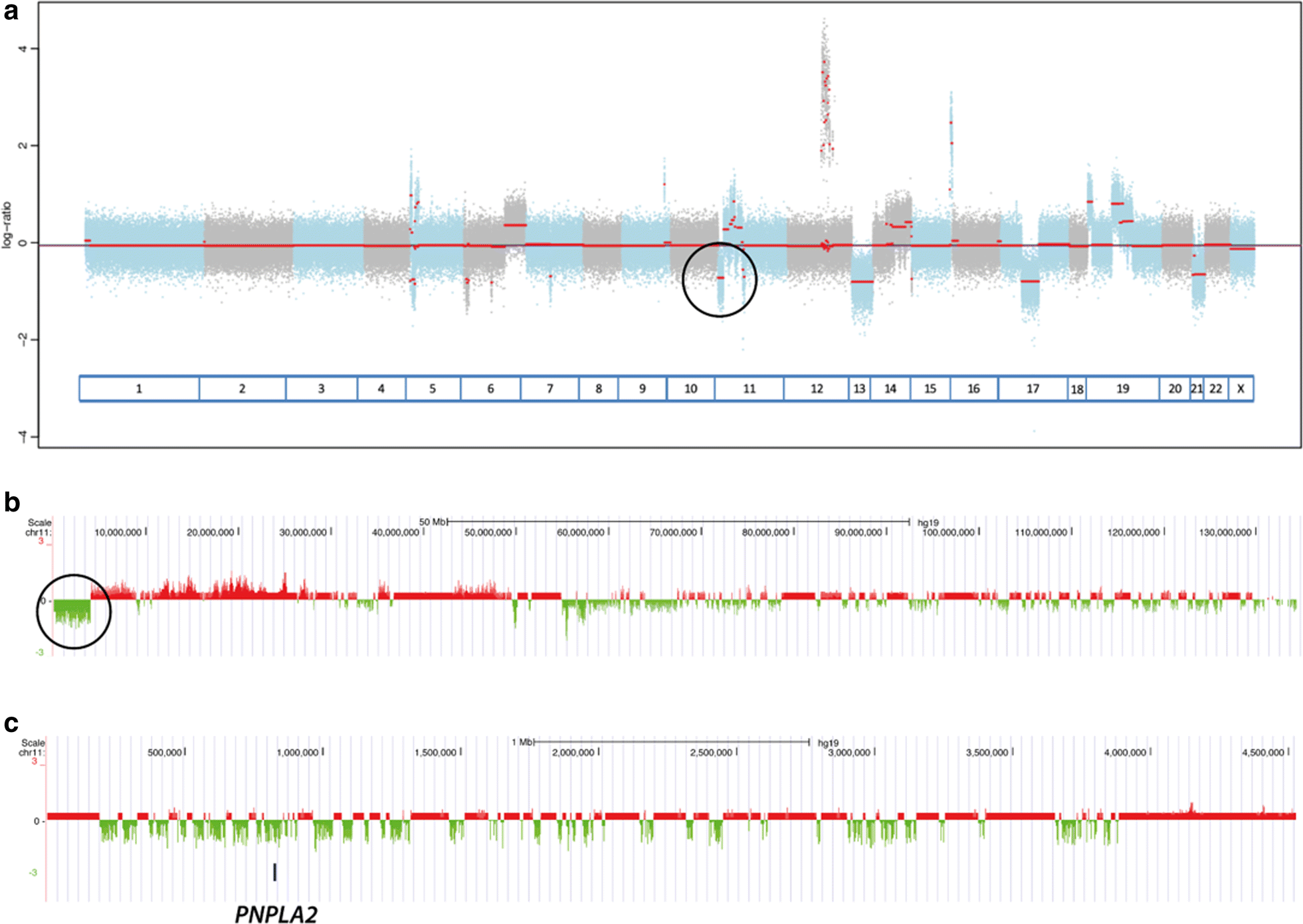 Fig. 4