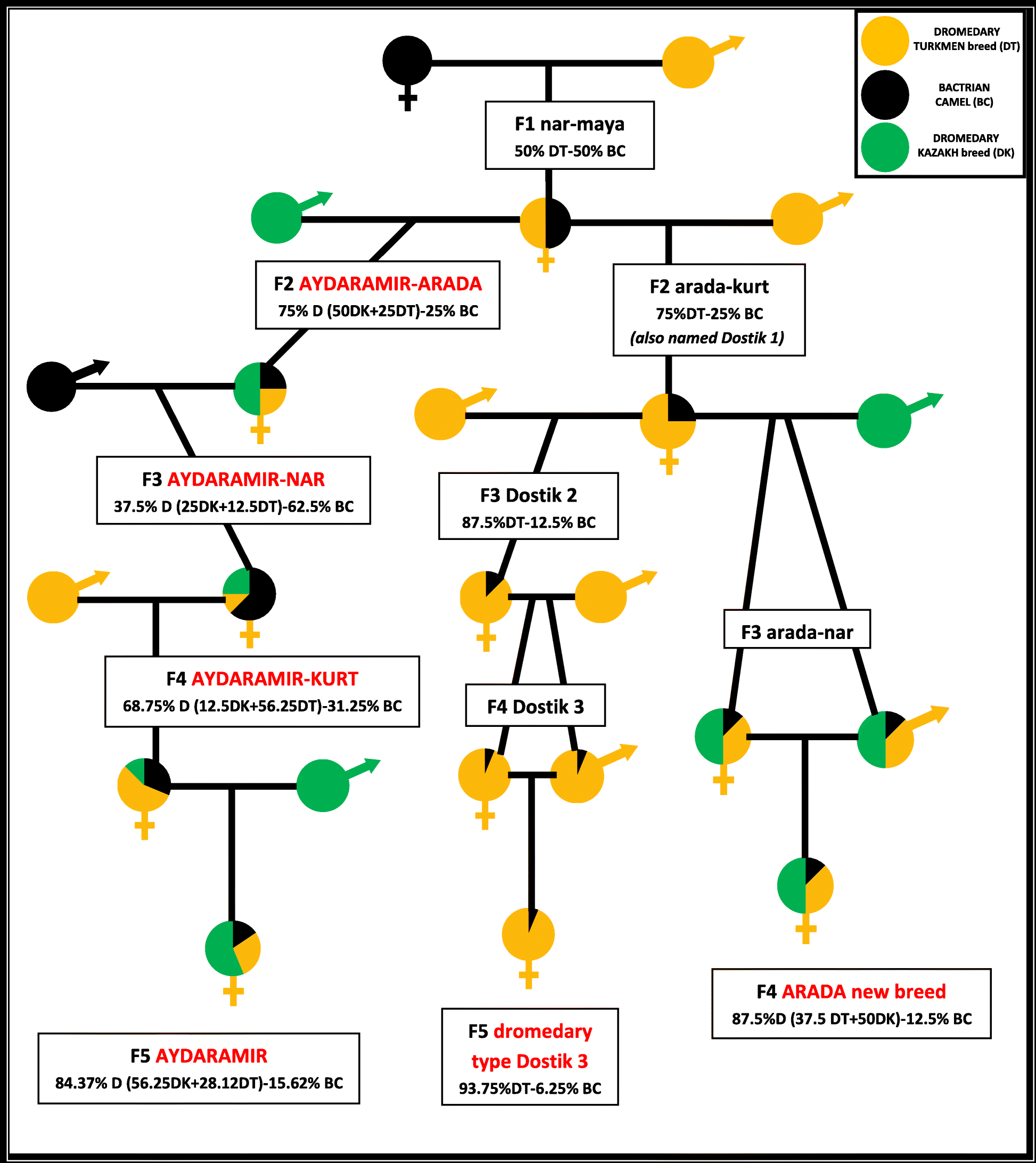 Fig. 17