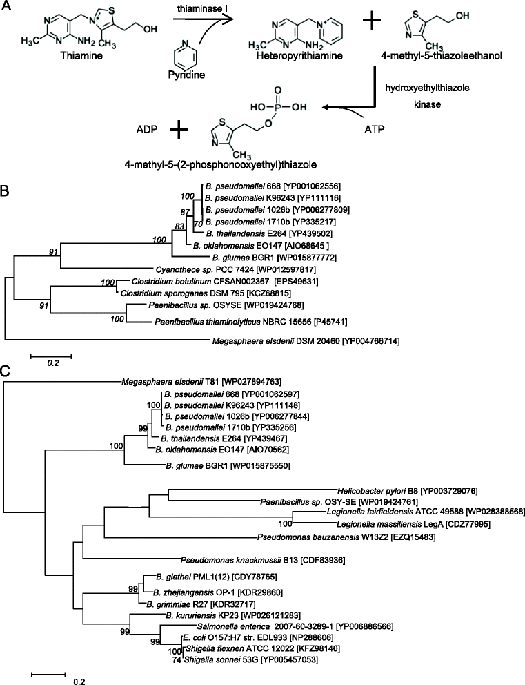 Fig. 5