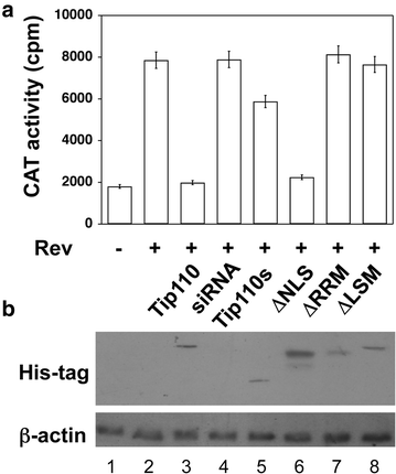 Figure 6