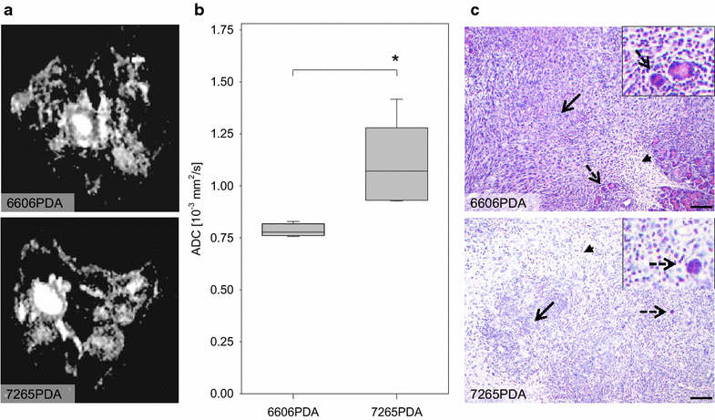 Fig. 6