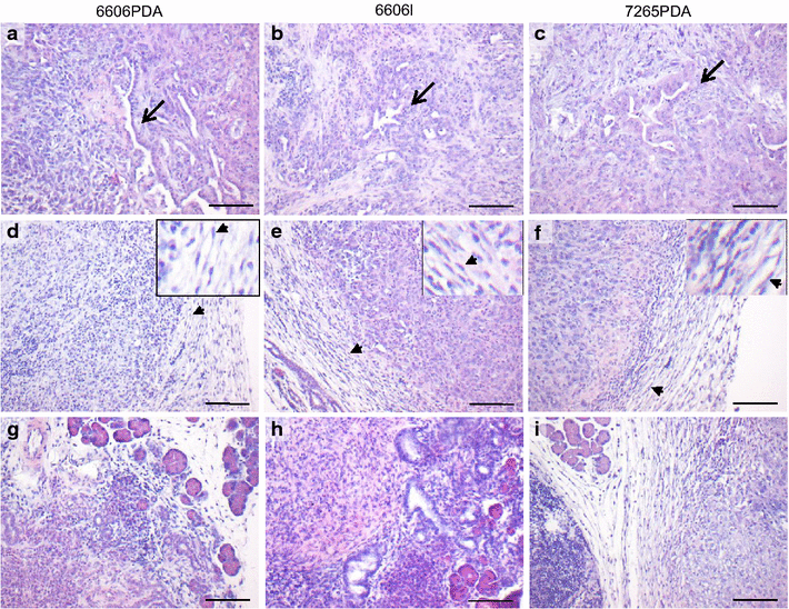 Fig. 7