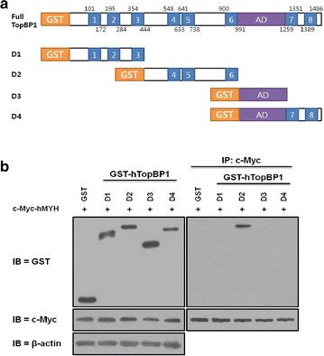 Fig. 3