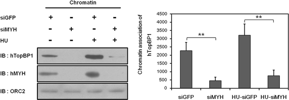 Fig. 6