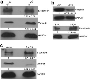 Fig. 7