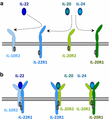 Fig. 1