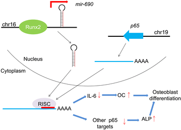 Fig. 6